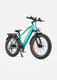 ENGWE E26 Elektrofahrrad