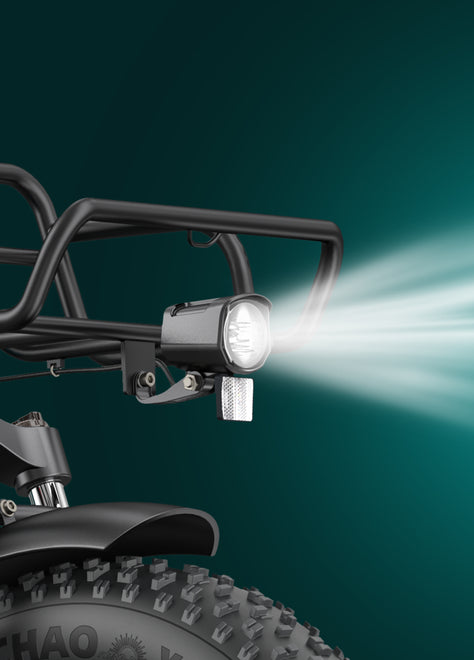 ENGWE L20 Boost Step-Thru Electric Bike