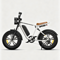 Blanc-Vélo électrique de style moto M20