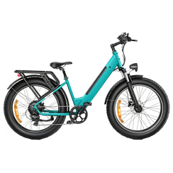 Bicicleta eléctrica E26