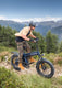 ENGWE Engine Pro 3.0 Boost E-Bike